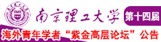 操日本女人的肥逼南京理工大学第十四届海外青年学者紫金论坛诚邀海内外英才！